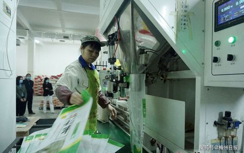 在梅州過年，肉菜管夠——春節(jié)期間梅州農(nóng)產(chǎn)品供給保障穩(wěn)穩(wěn)的